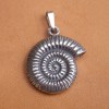 Pendentif en argent - Ammonite