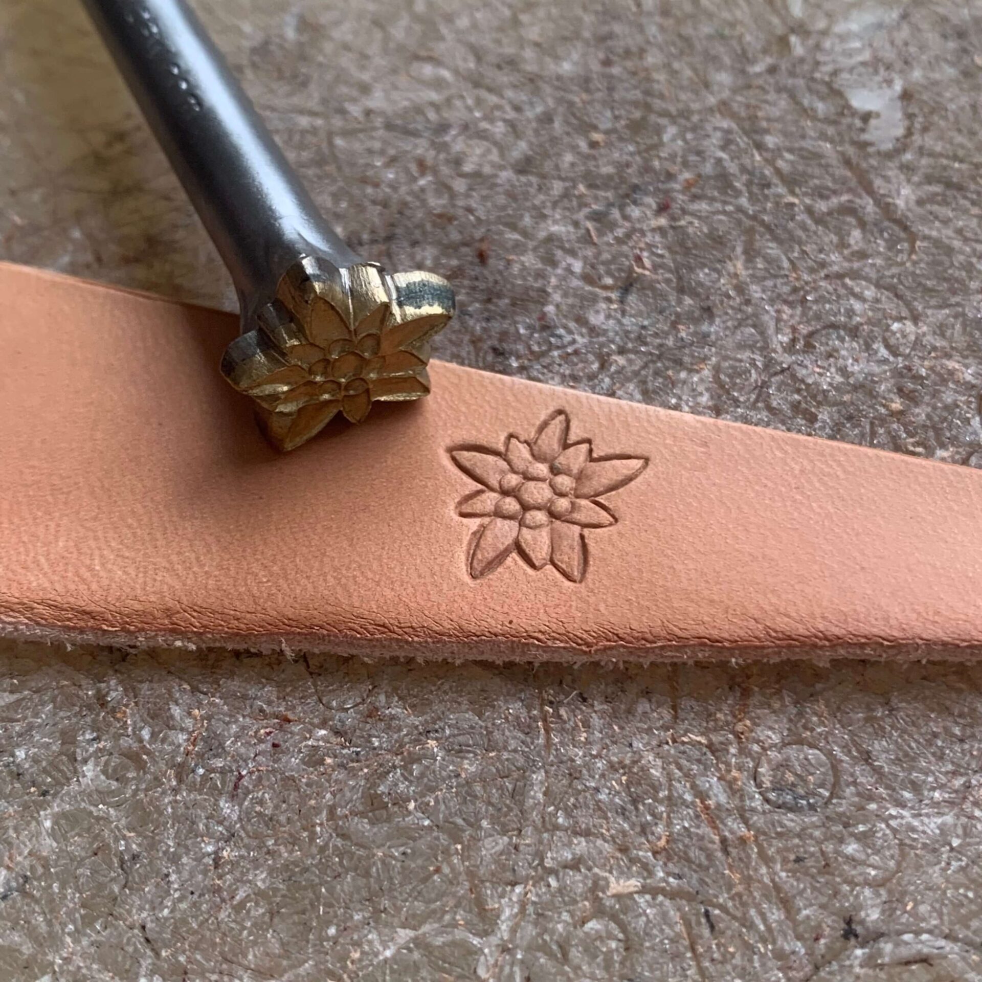 Matoir Fleur Edelweiss