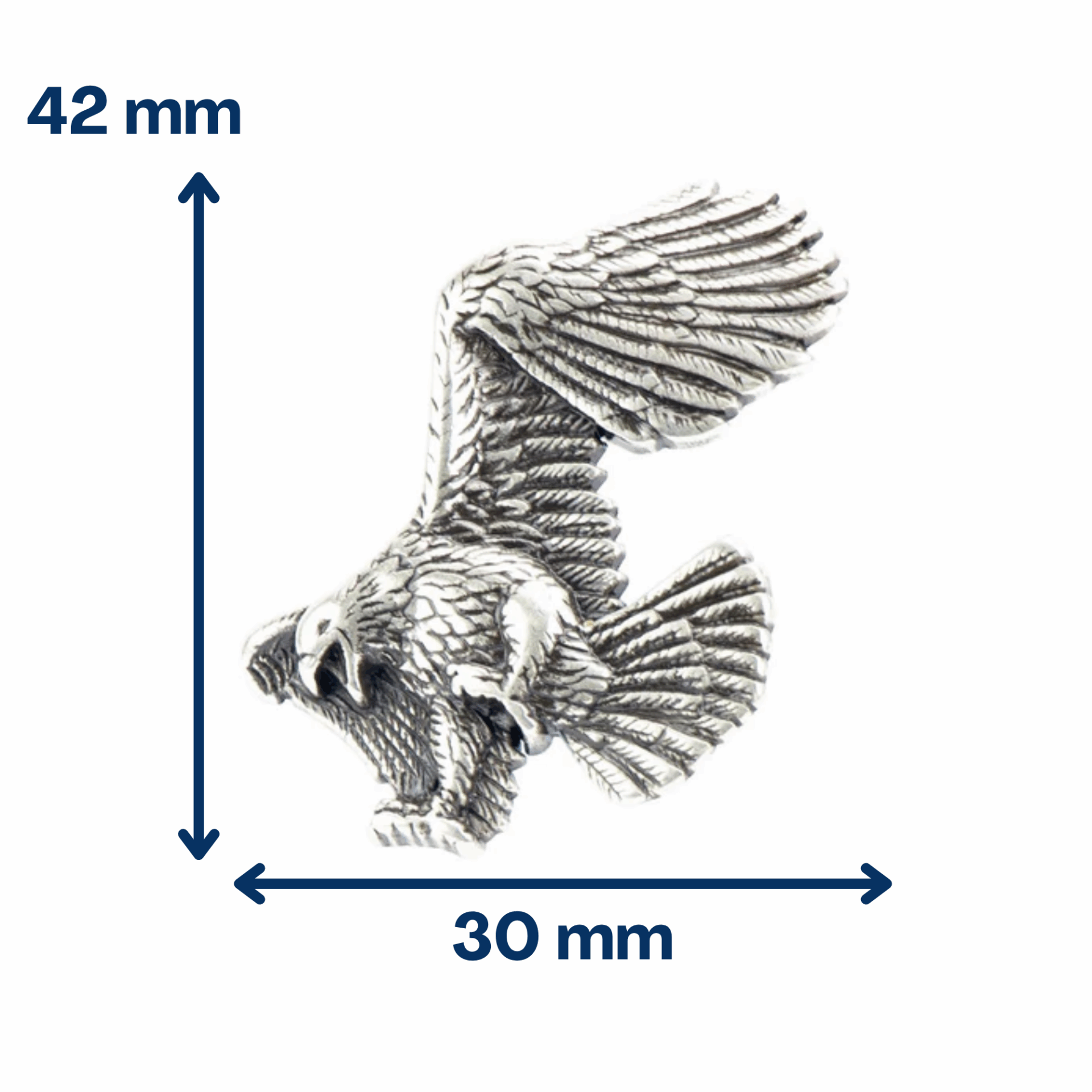 Concho attaque d’aigle à gauche