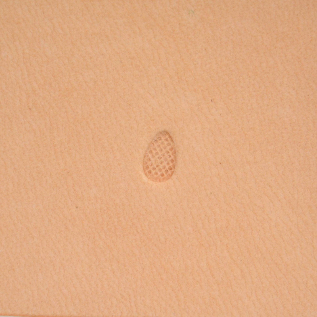 Matoir de fond A99 de type "sable"