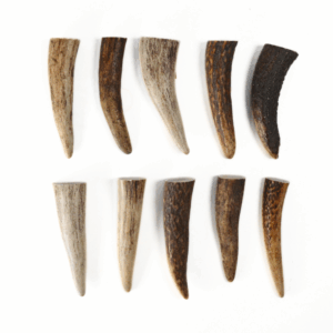 Petit bois de cerf à l’unité