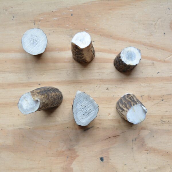 Lot de morceau de bois de cerf – Image 2