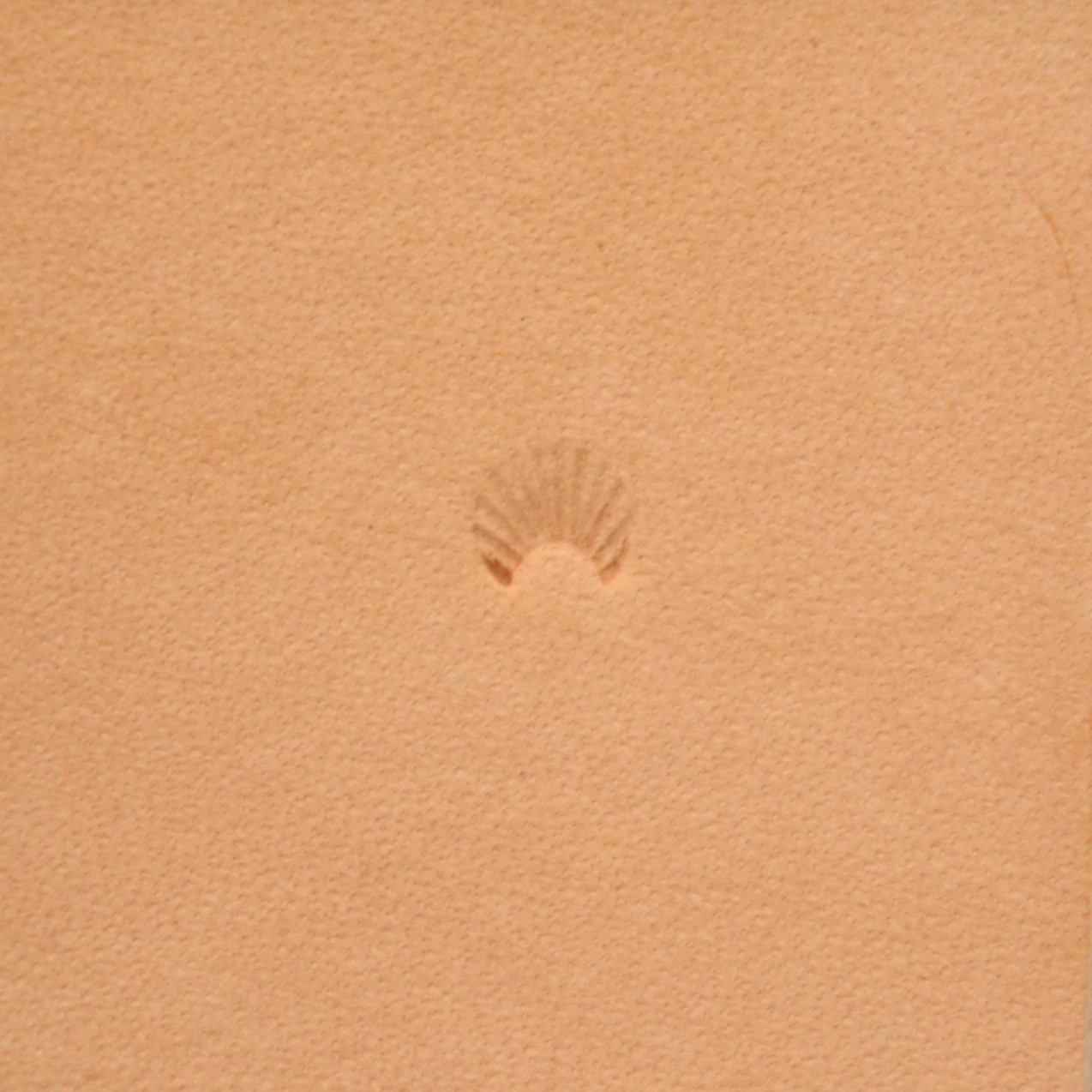 Matoir Camouflage C770