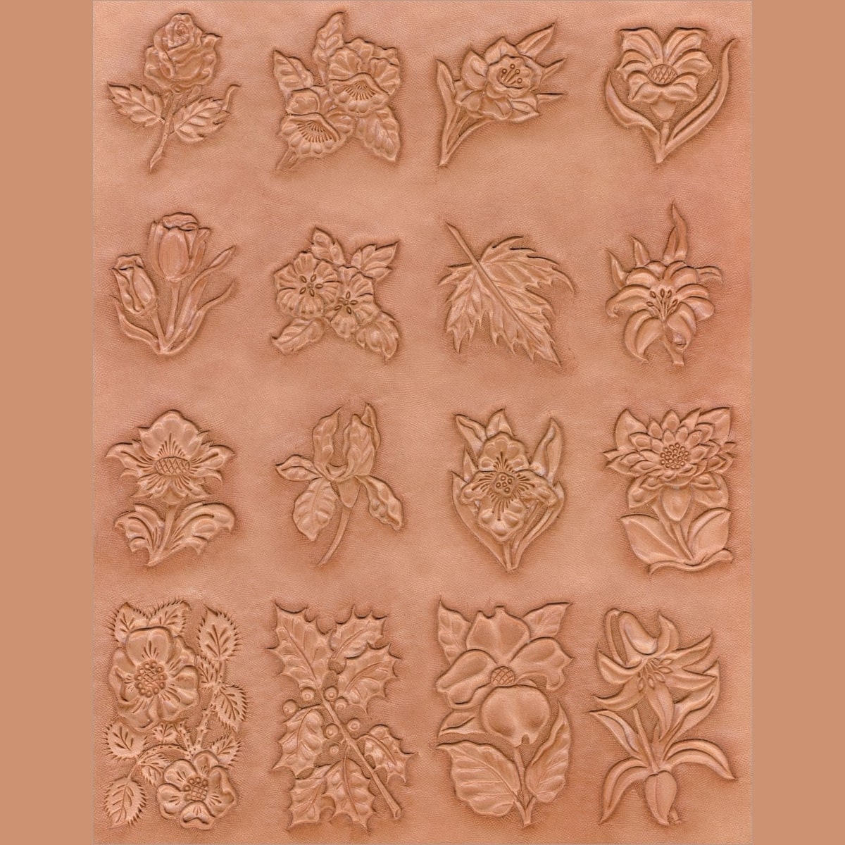 Calque pour le transfert de motifs - plantes