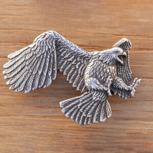 Concho attaque d’aigle à droite