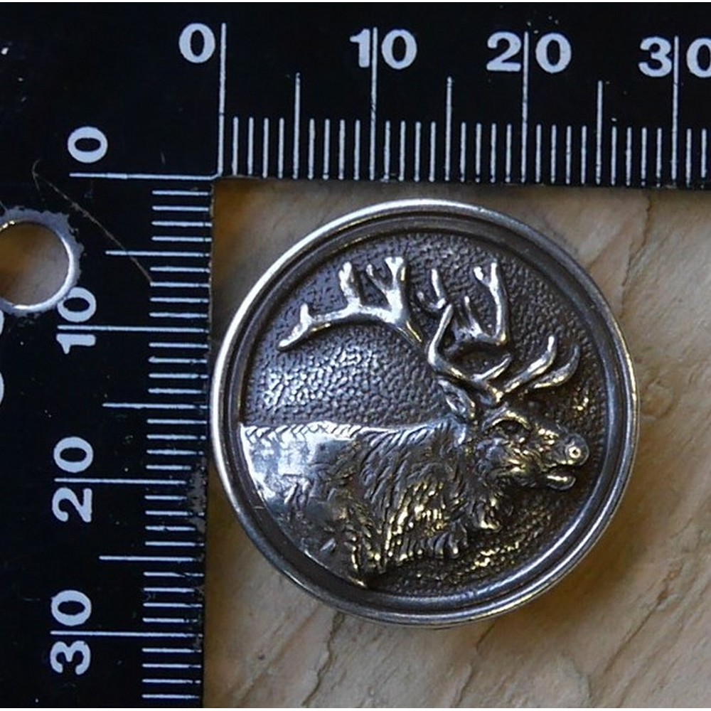 Concho Elan – Image 3