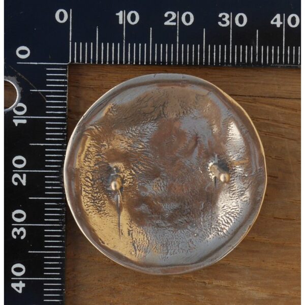 Concho Lion – Image 3
