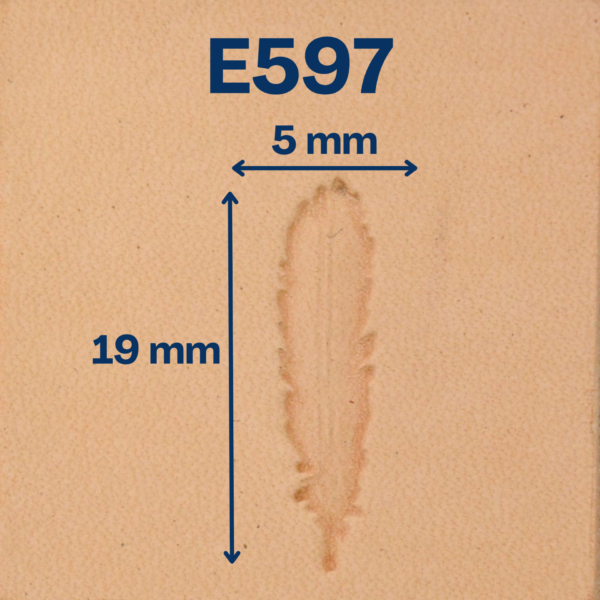 Matoir E597 plume – Image 2