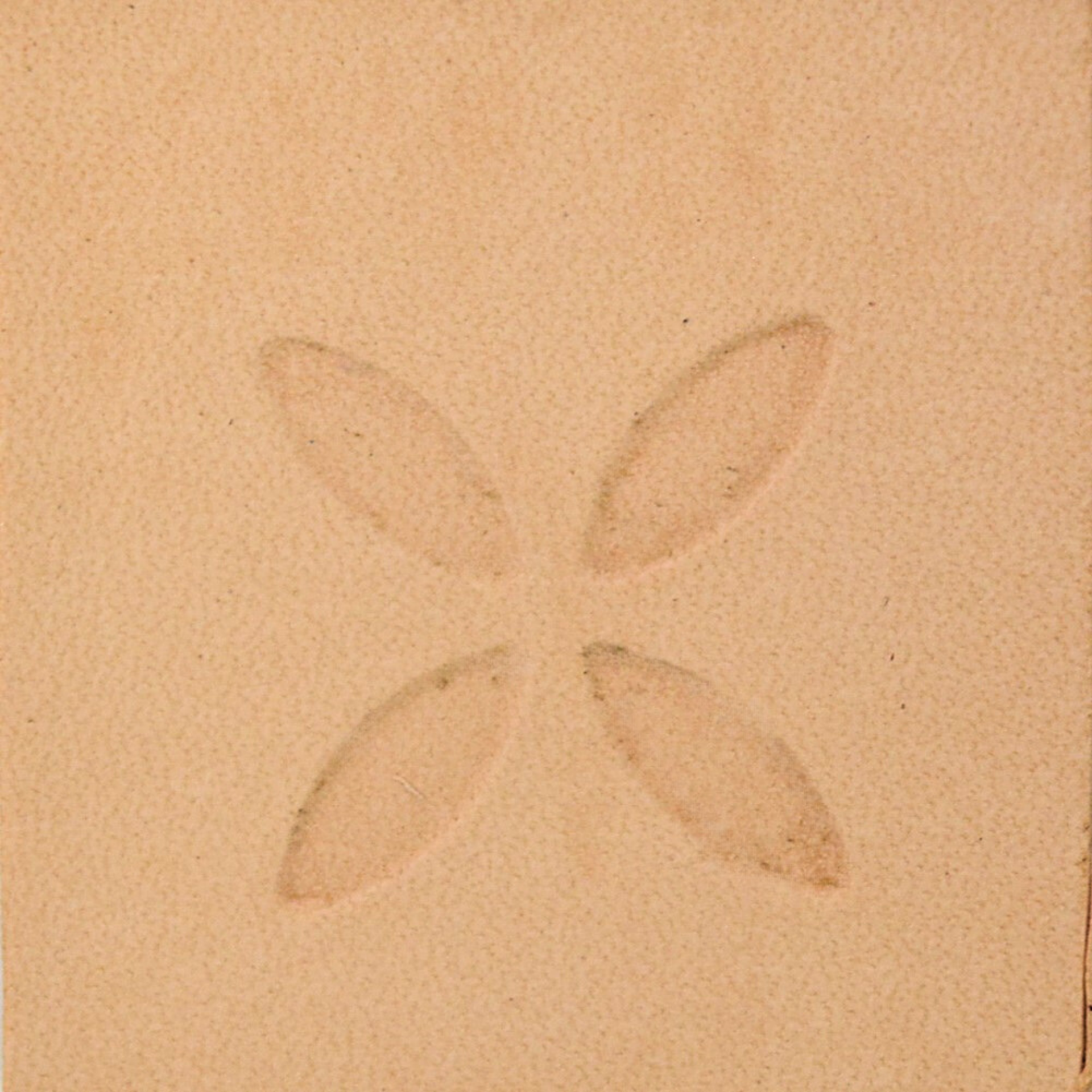 Matoir géométrique E679