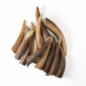 Bois de cerf – Grande taille – Lot de 5