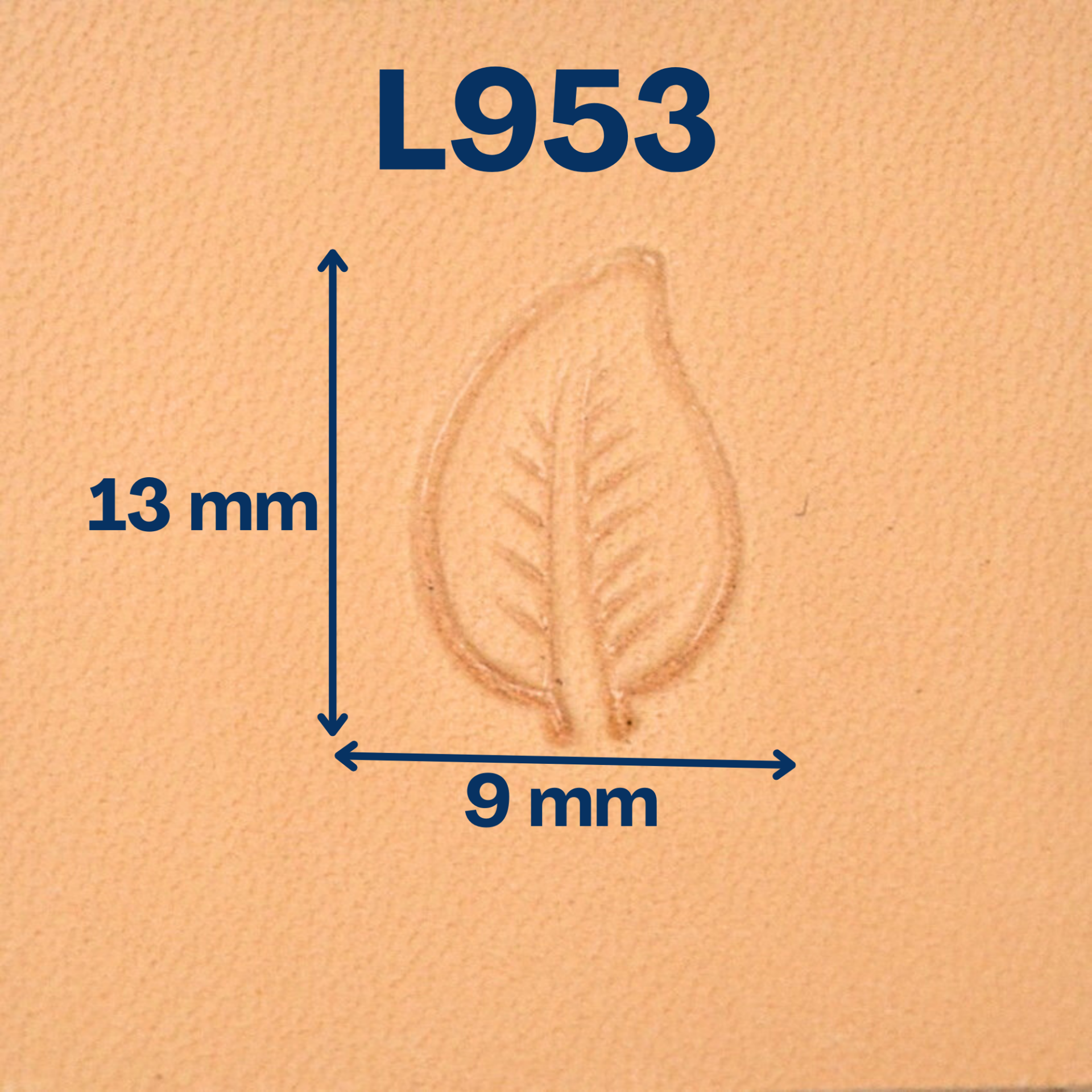 Matoir L953 feuille – Image 2