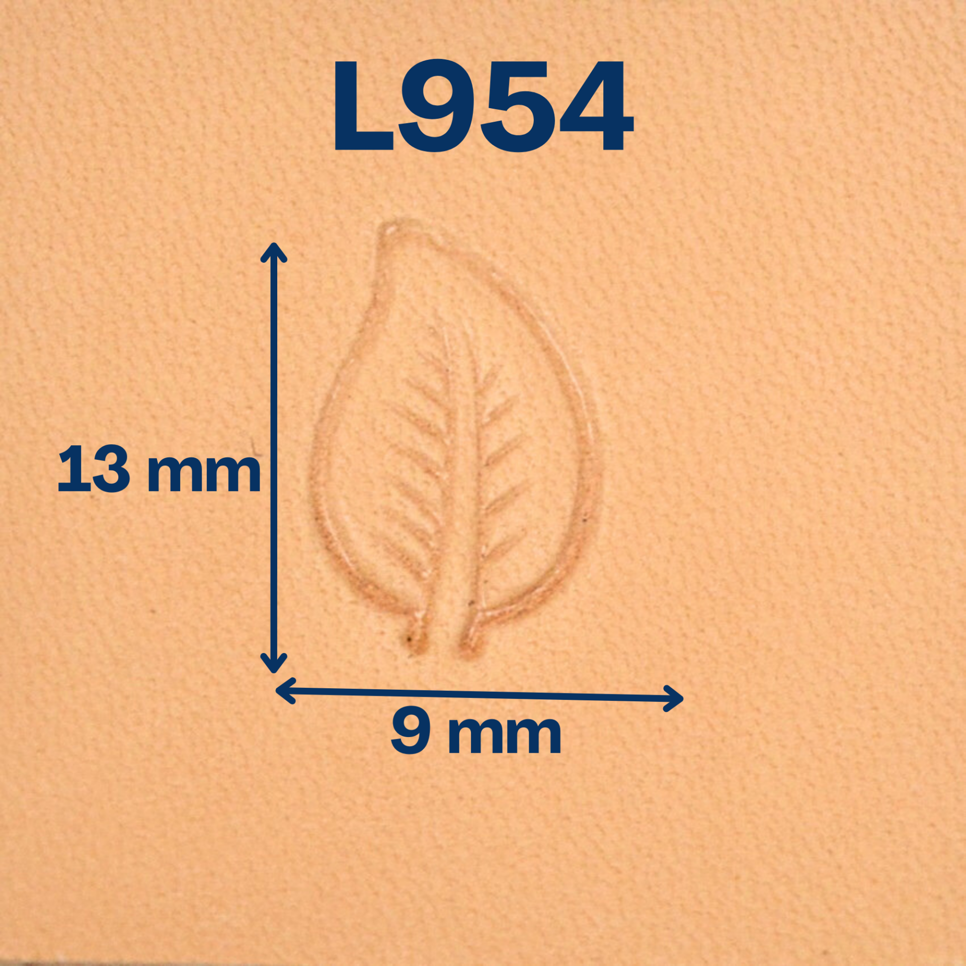 Matoir L954 feuille – Image 2