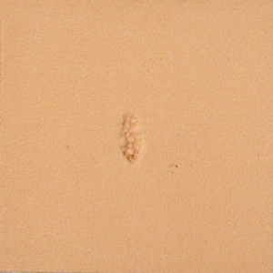 Matoir de fond M881 – Peau de dinosaure