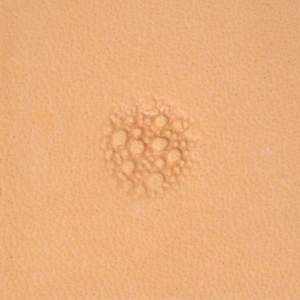 Matoir de fond M884 – Peau de dinosaure