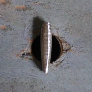 Thumbprint horizontal n°1 – Barry King Pear shader