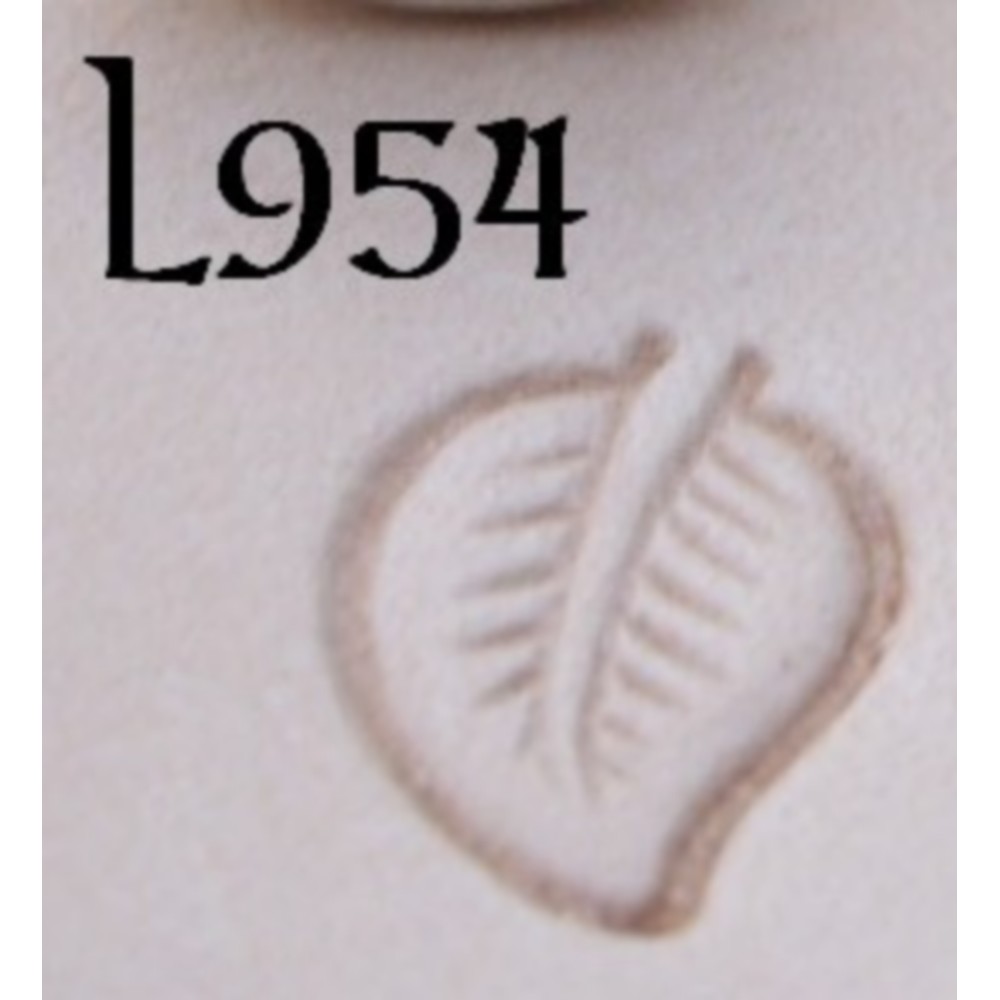 Matoir L954 feuille – Image 3