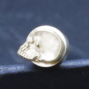 Matoir n°103 crâne profil