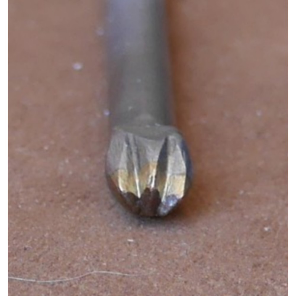 Matoir patte d'oiseau – Image 2