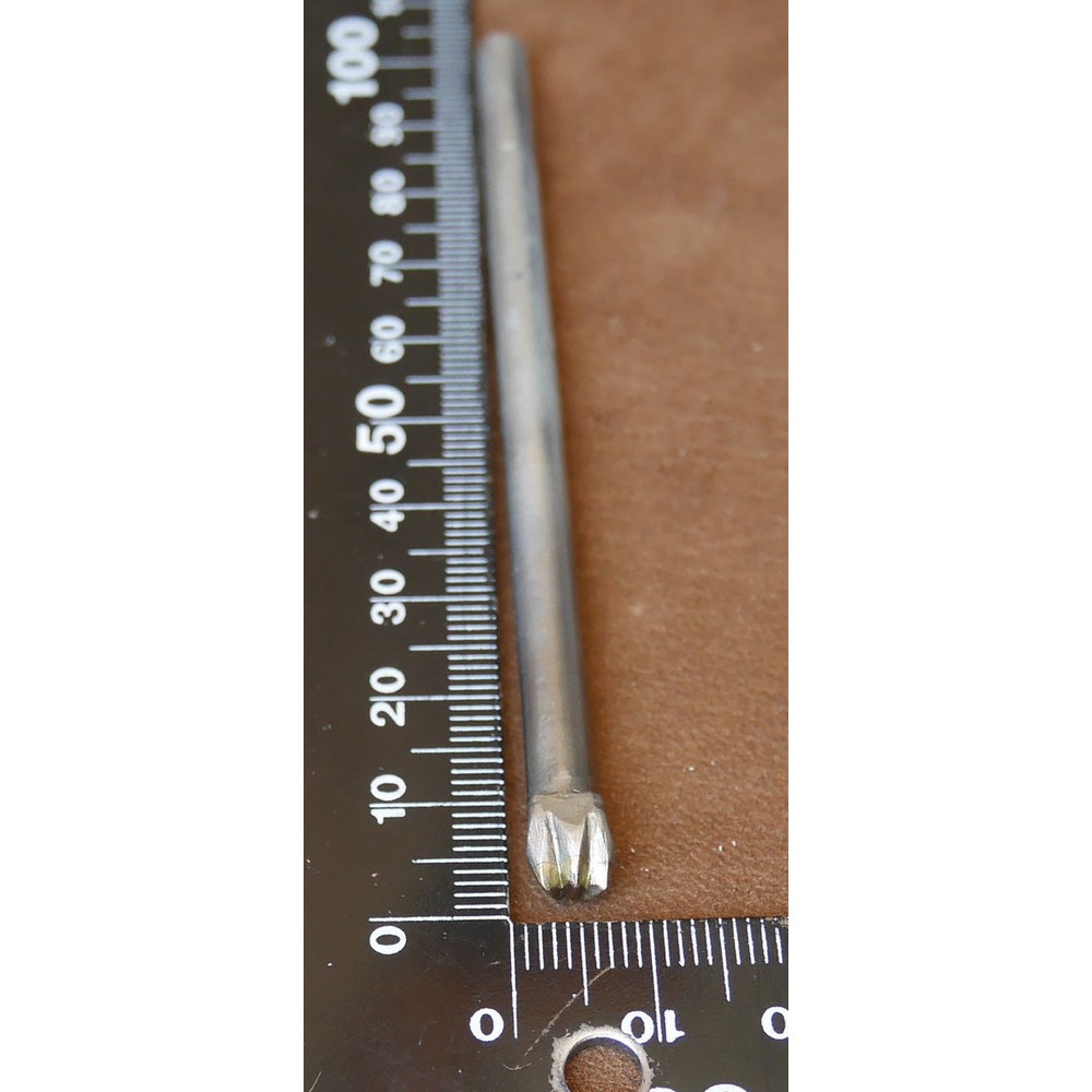 Matoir patte d'oiseau – Image 3