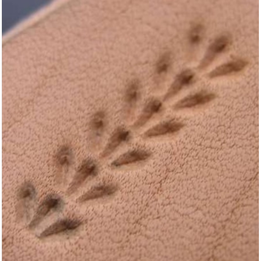 Matoir patte d'oiseau – Image 4