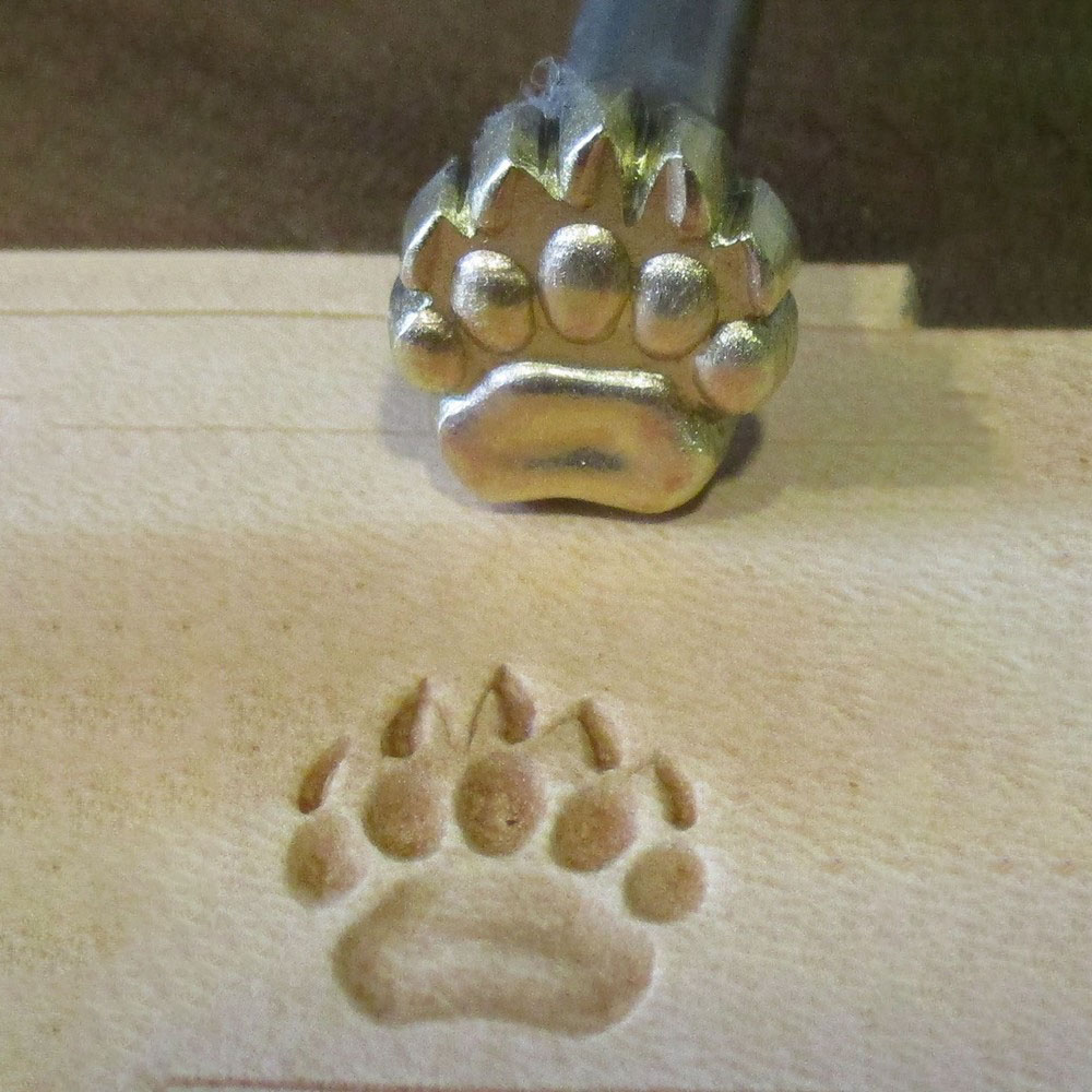 Matoir patte d'ours avant