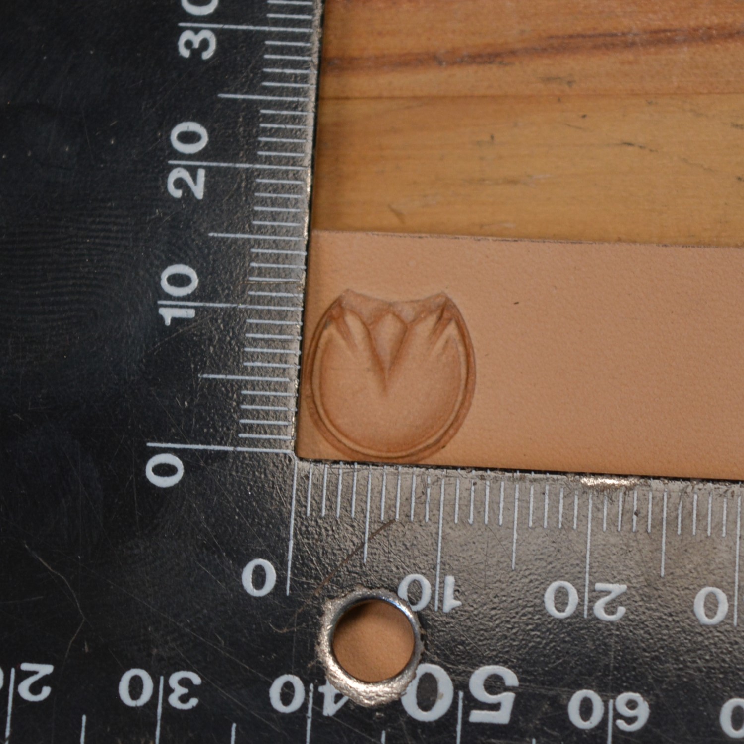 Matoir Sabot de cheval – Image 2