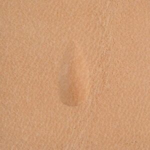 Matoir Pear Shader P208