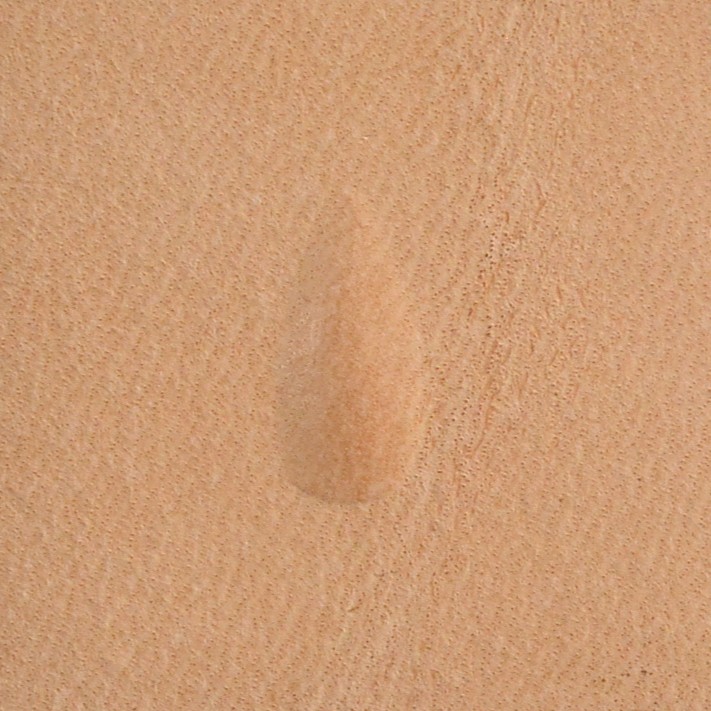 Matoir Pear Shader P208