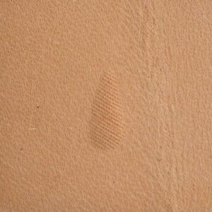 Matoir Pear Shader P213