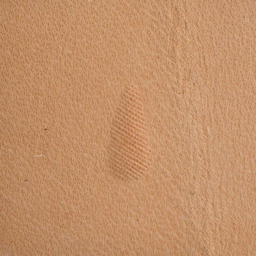 Matoir Pear Shader P213