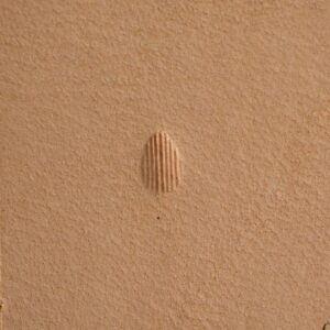 Matoir Pear Shader P234