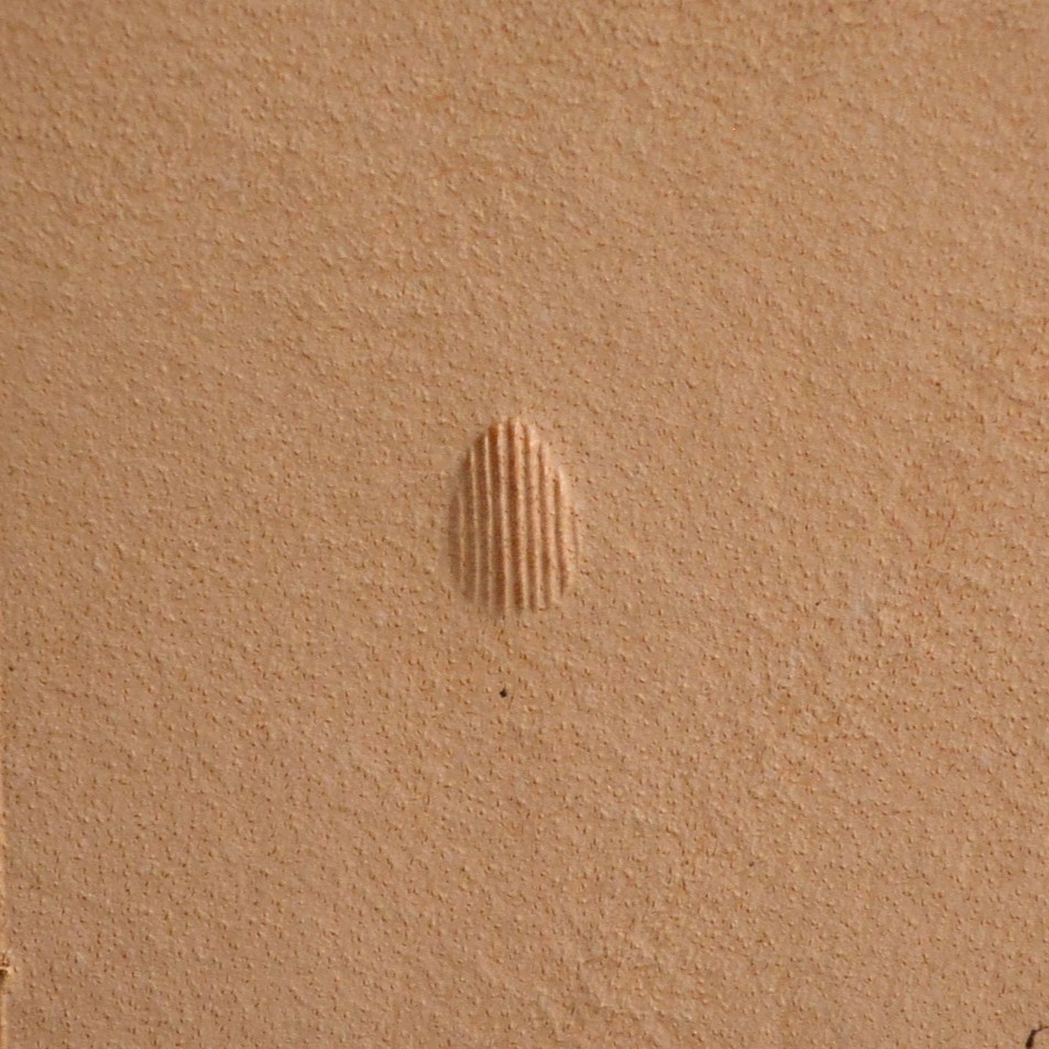 Matoir Pear Shader P234