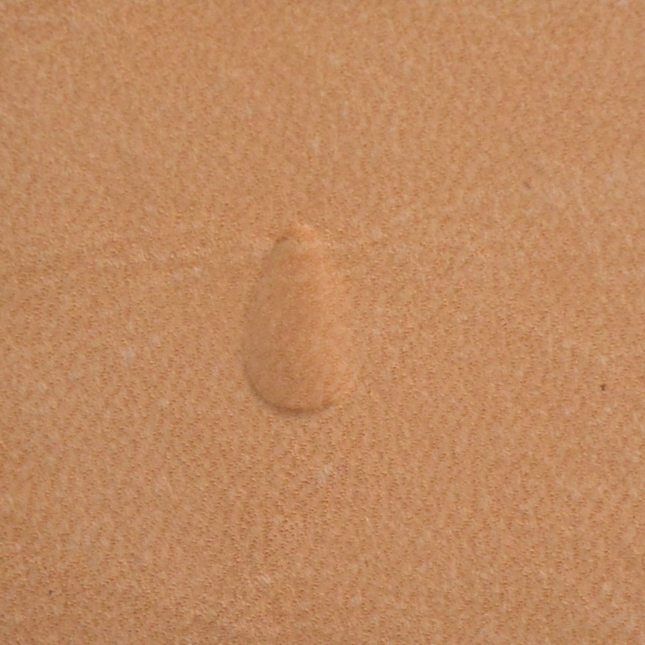 Matoir Pear Shader P703