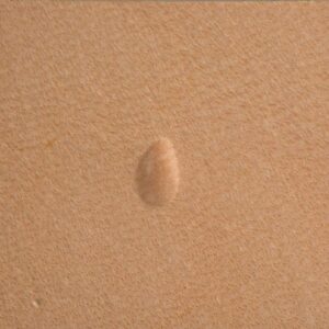 Matoir Pear Shader P972