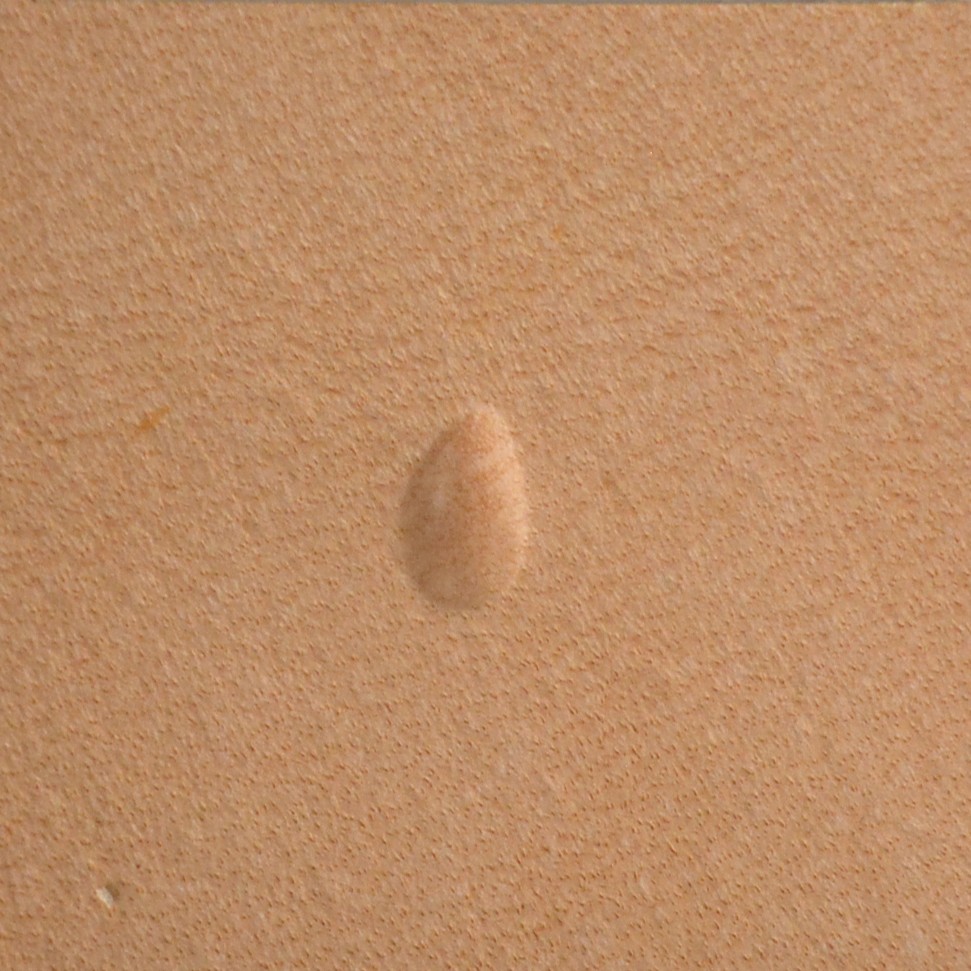 Matoir Pear Shader P972