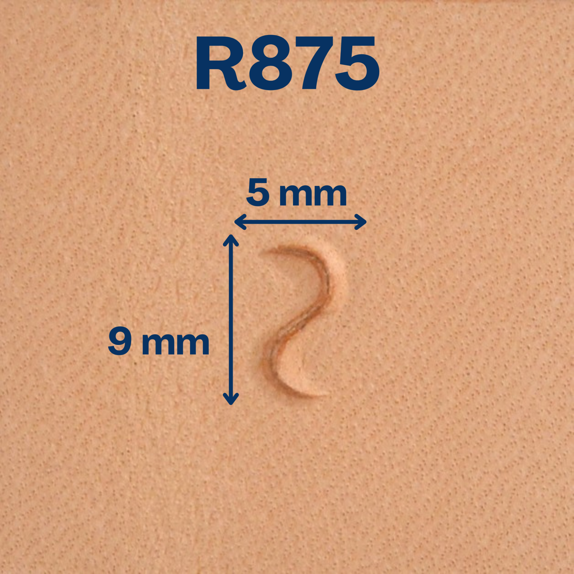 Matoir R875 Corde – Image 2