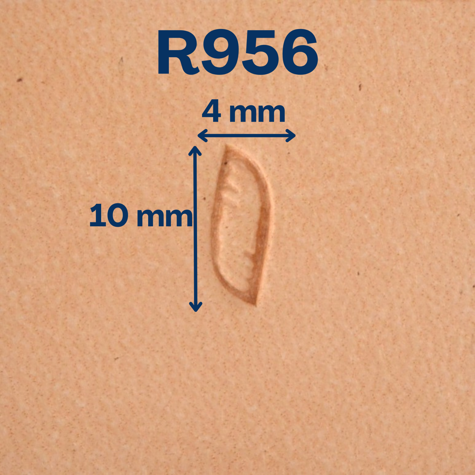 Matoir R956 Corde – Image 2