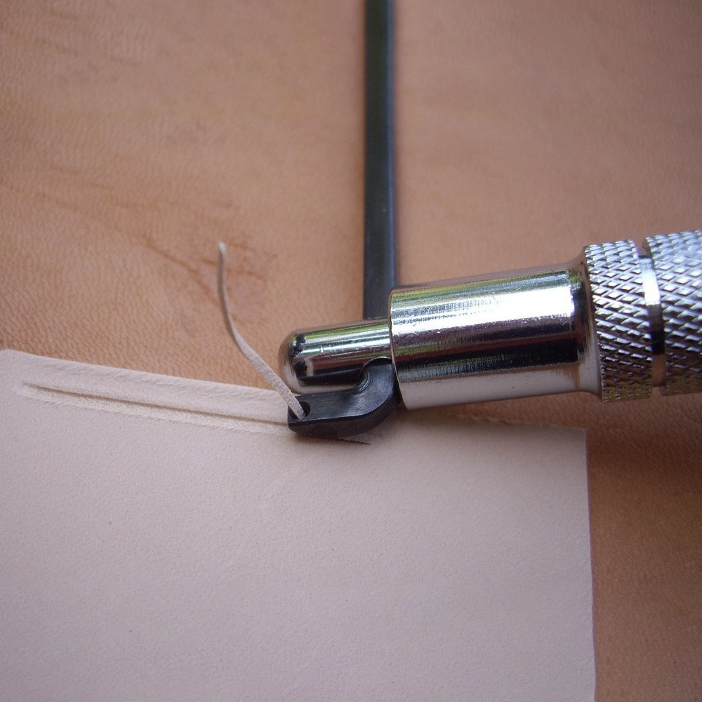 Rainette – Image 2