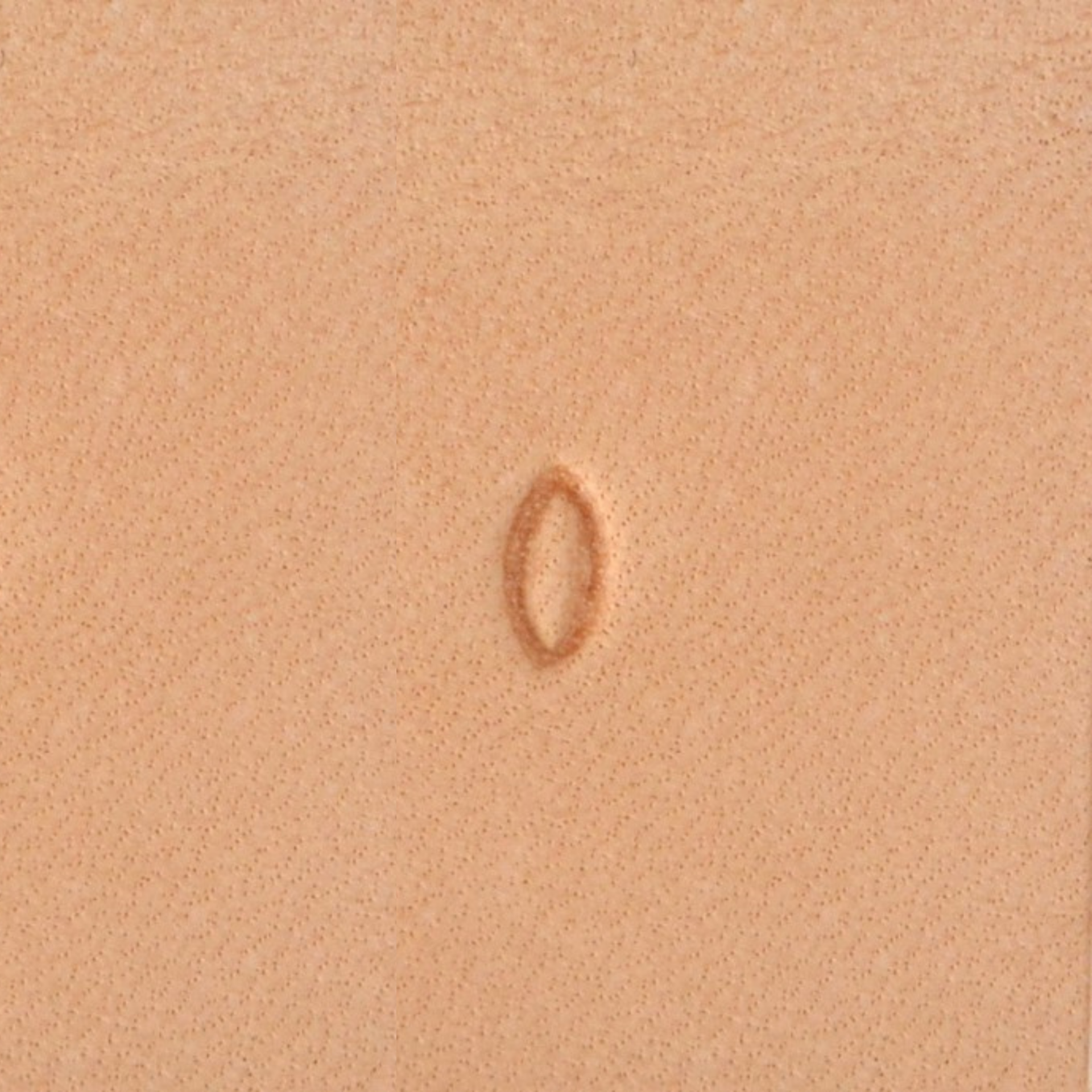 Matoir rond S630 - seeder