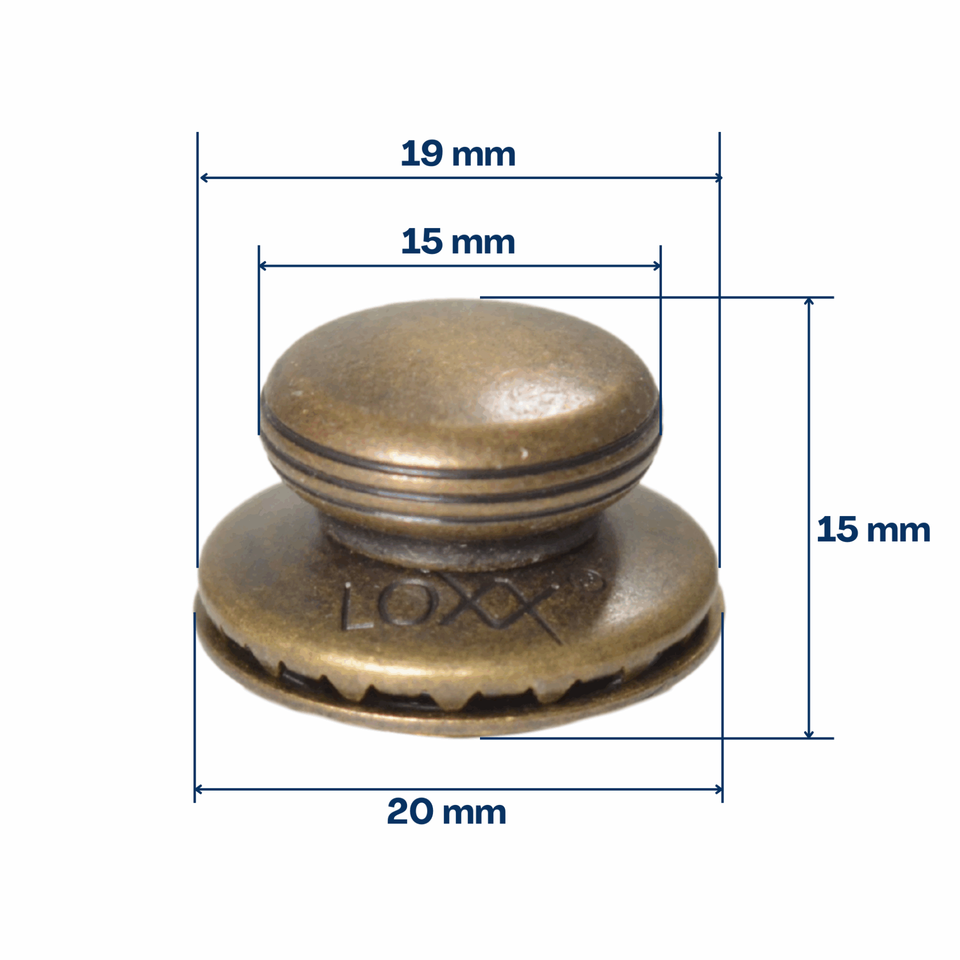 Loxx tête large smooth laiton – Image 4