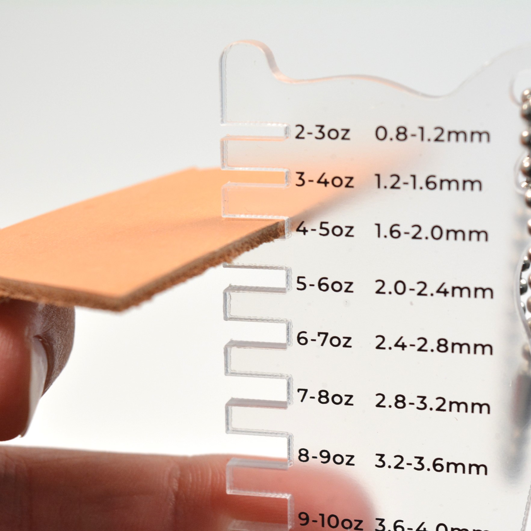 Perroquet - Pige – Image 2