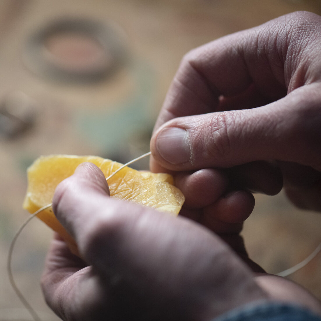 Journée découverte