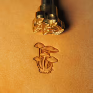 Matoir n°596 – Champignon