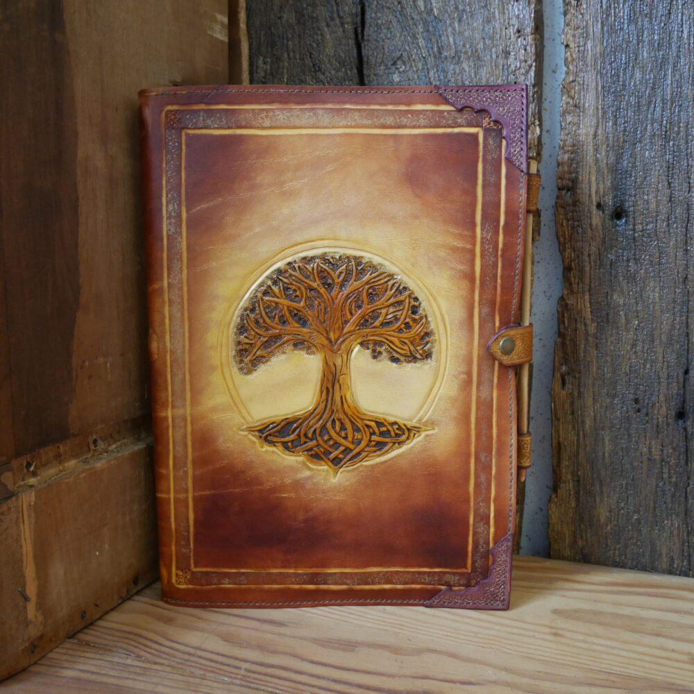 Les créations de nos élèves – Janvier et Février 2026