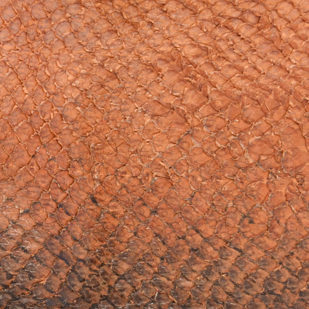 Cuir de Saumon – Image 2