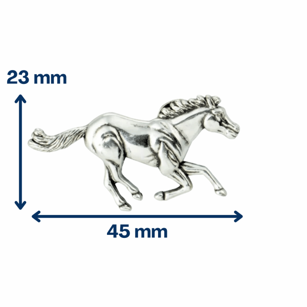 Concho pour cuir cheval (droite)