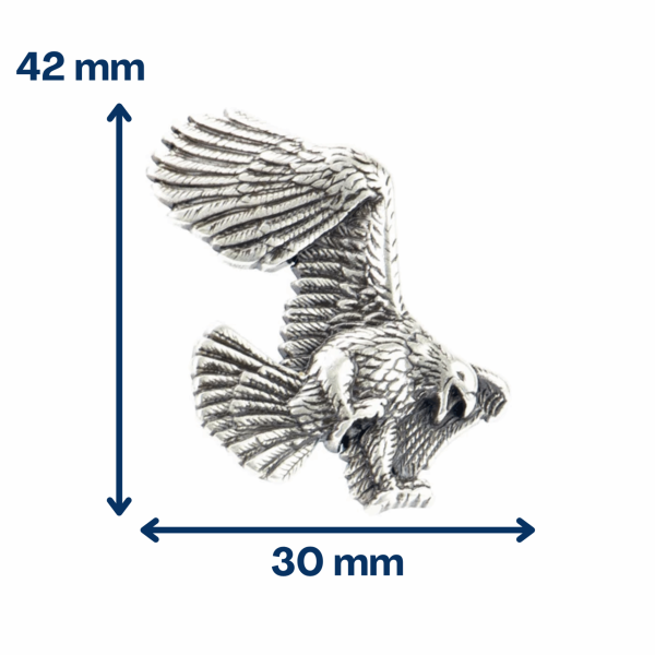 Concho attaque d’aigle à droite
