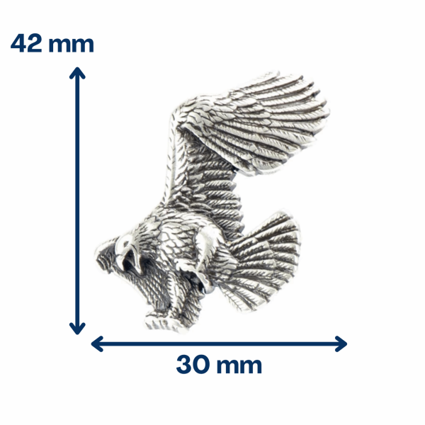 Concho attaque d’aigle à gauche