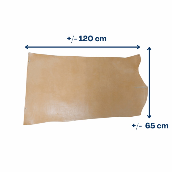 Demi croupon tannage végétal naturel – 4 mm