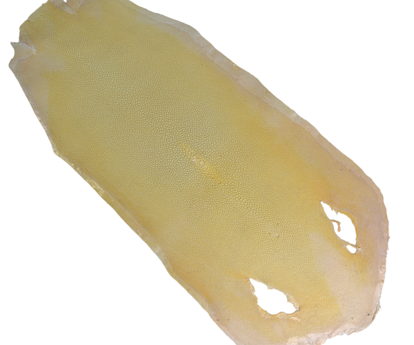 JAUNE